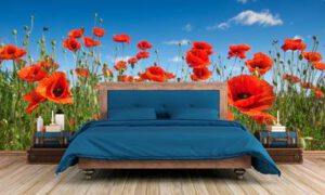 Fotobehang expositie kwaliteit 270×290 cm [#26339]