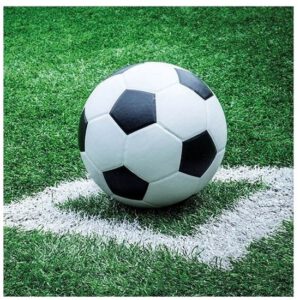 Ambiente Voetbal thema servetten – 40x – 33 x 33 cm – 3-laags papier – feestservetten – /keuken-servies-bbq/servetten/alle-servetten [#140741]
